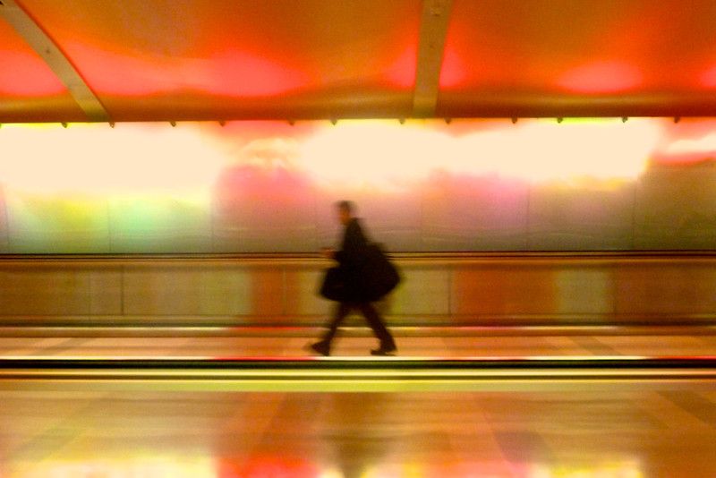 traveler Emigracja naszym prawem?