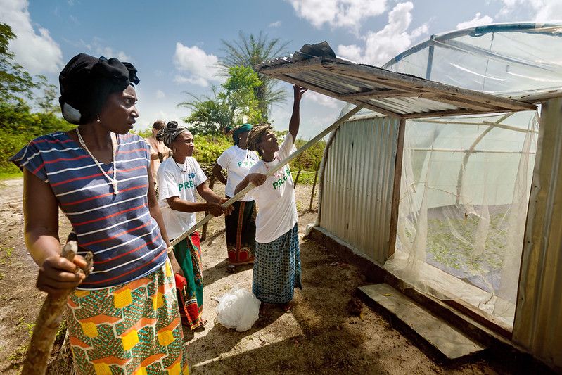 Guinea - Rural Women's Cooperative Generates Income and Improves Community Life Ekofeminizm - tekst hbs Prague