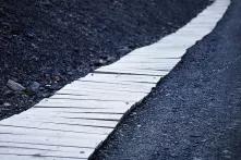 Dlaczego człowiek wędruje?