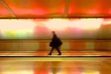 Emigracja naszym prawem?