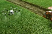 Grafika_Kto nas karmi_Pixabay.jpg