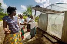 Ekofeminizm - tekst hbs Prague