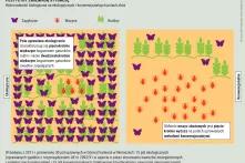 Pestycydy zmieniają sytuację