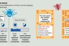 Bzyczenia już nie będzie