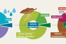 Ekosystem gleba: podstawa życia_1