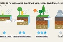 Adaptacja do zmiany klimatu_2