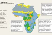 Zazielenienie pustyni_1