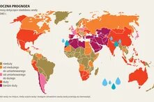 Rolnictwo bez gleby_1