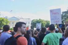 Protesty przed Białym Domem w Waszyngtonie