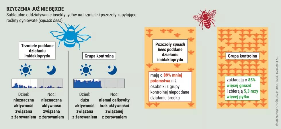 Bzyczenia już nie będzie