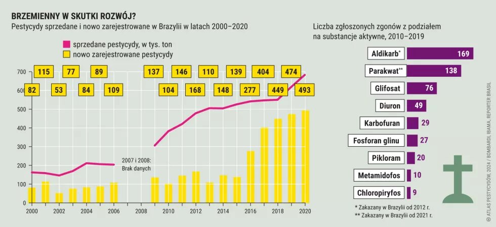 Brzemienny w skutki rozwój