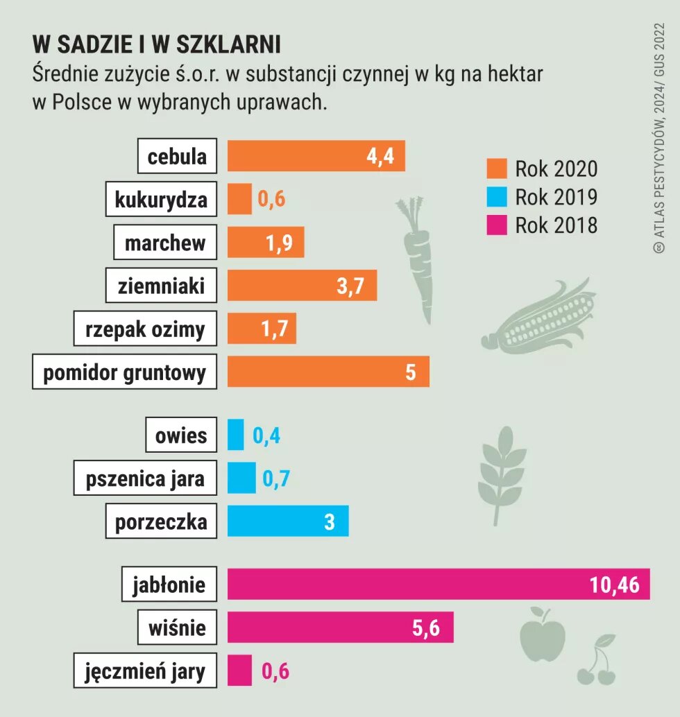 W sadzie i w szklarni