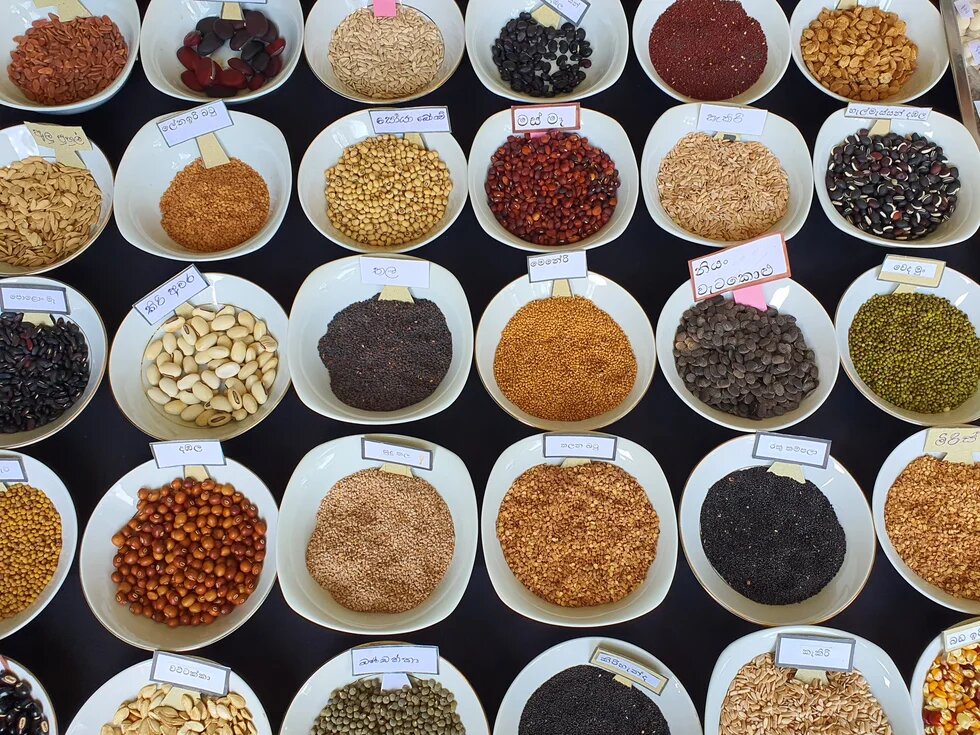 Globalne Forum Nyéléni_3