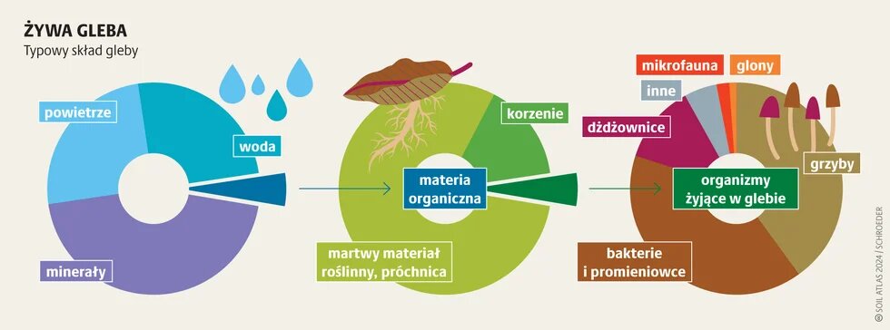 Ekosystem gleba: podstawa życia_1