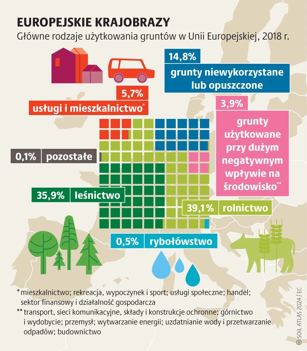 Ekosystem gleba: podstawa życia_3