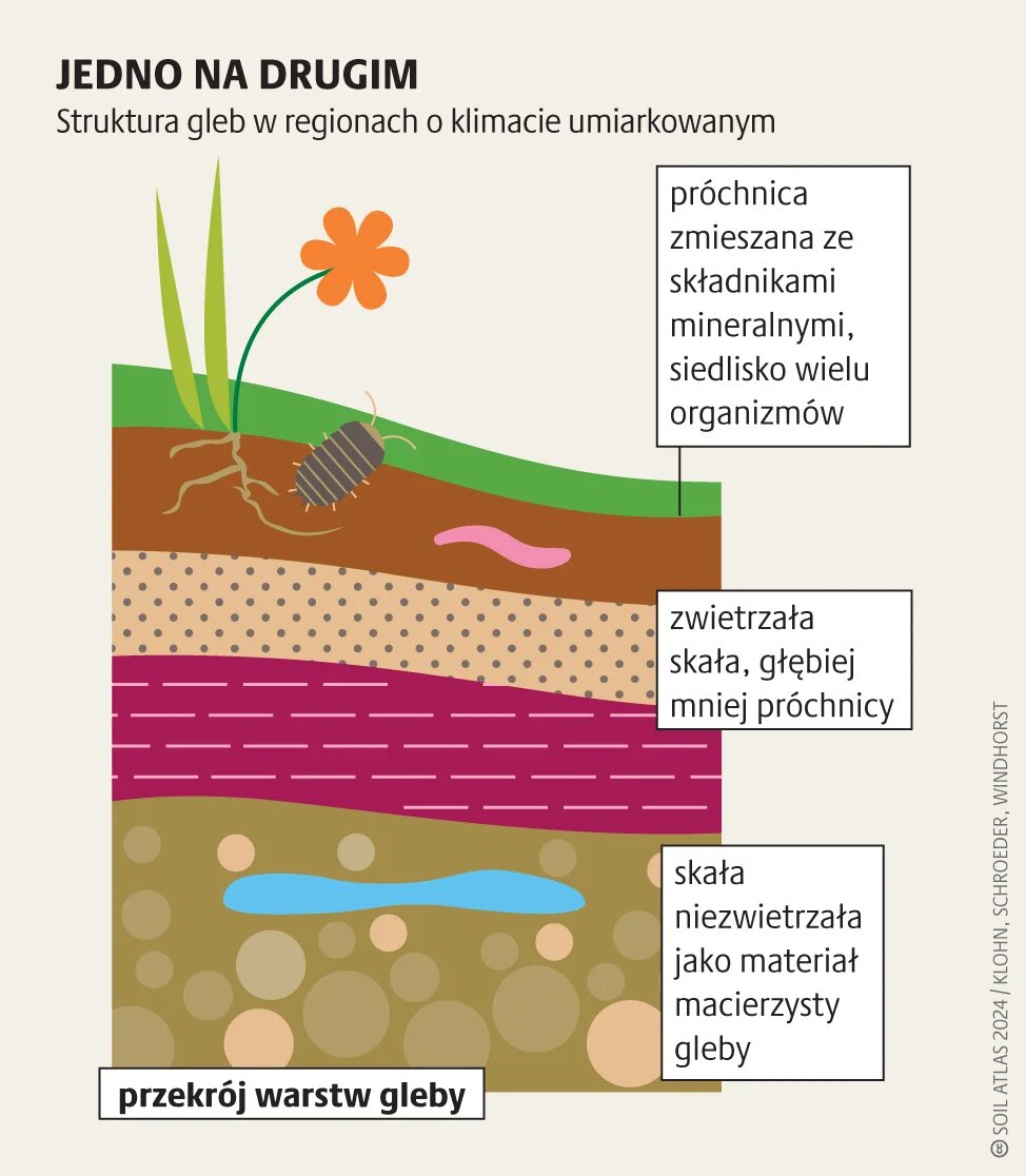 Glebowe jednostki emisji CO2_2