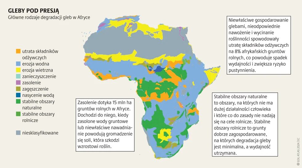 Zazielenienie pustyni_1