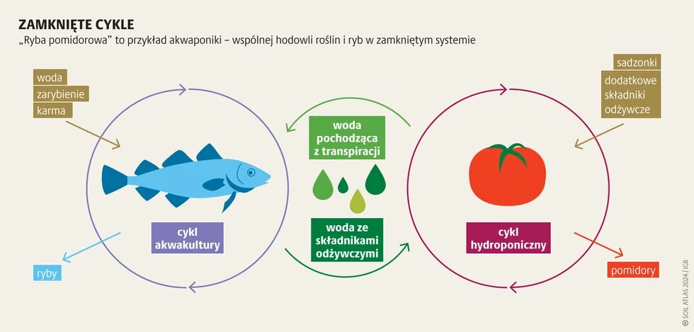 Rolnictwo bez gleby_1