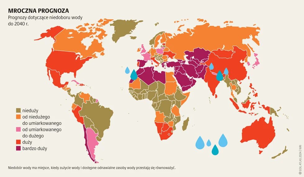 Rolnictwo bez gleby_1
