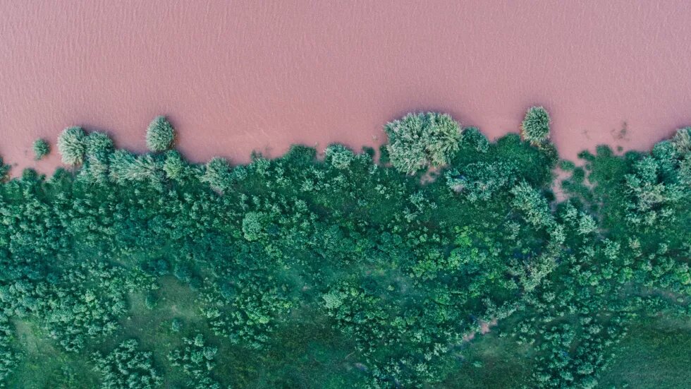 Pink river with green grass Pink river with green grass in Phalaborwa, South Africa
