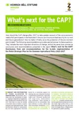 What’s next for the CAP? Recommendations