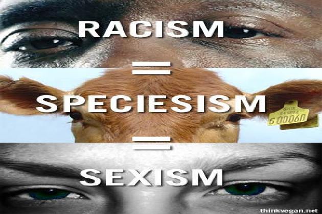 Rasizm=szowinizm gatunkowy=seksizm Rasizm=szowinizm gatunkowy=seksizm